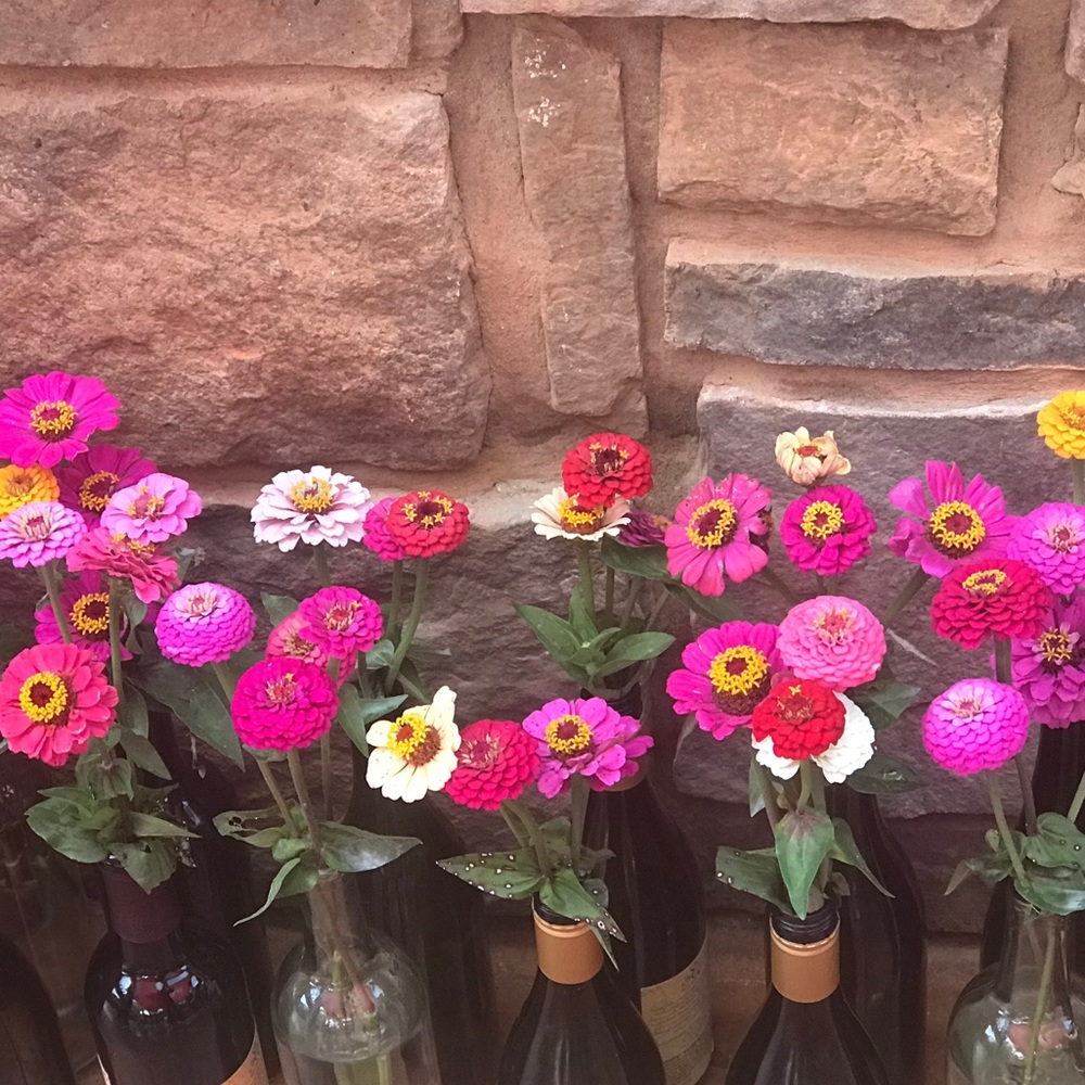 Meet your Posher, Yasmín